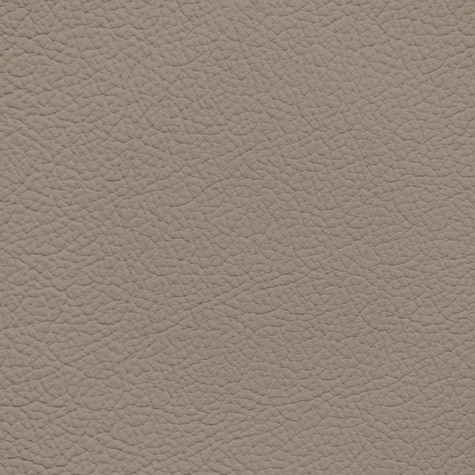 Ford/Lincoln/Mercury New Medium Parchment Leather Dye