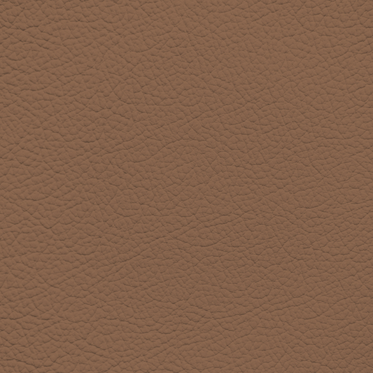 Infiniti Chestnut (2021-2024) Leather Dye
