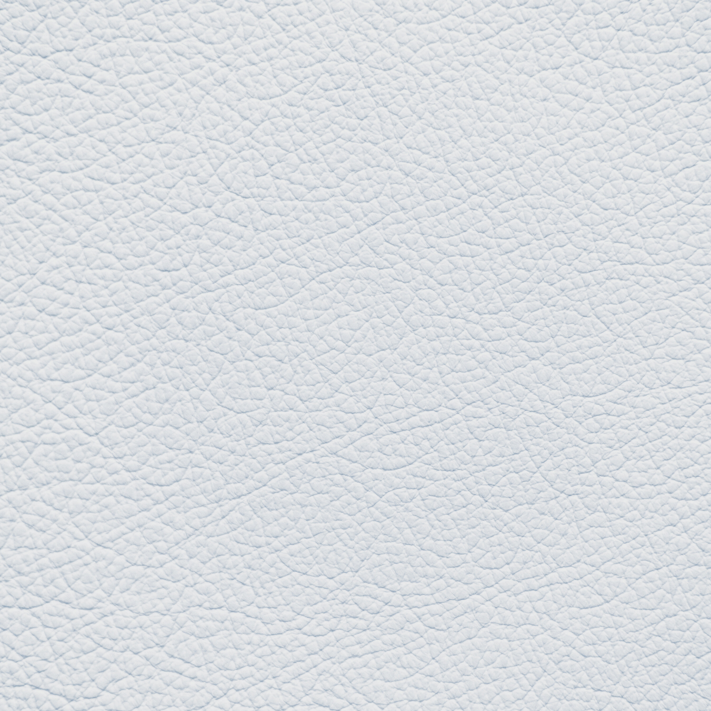 BMW New Silverstone (2018 and After) Leather Dye