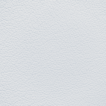 BMW New Silverstone (2018 and After) Leather Dye