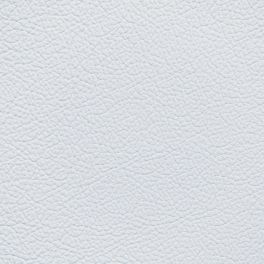 BMW New Silverstone (2018 and After) Leather Dye