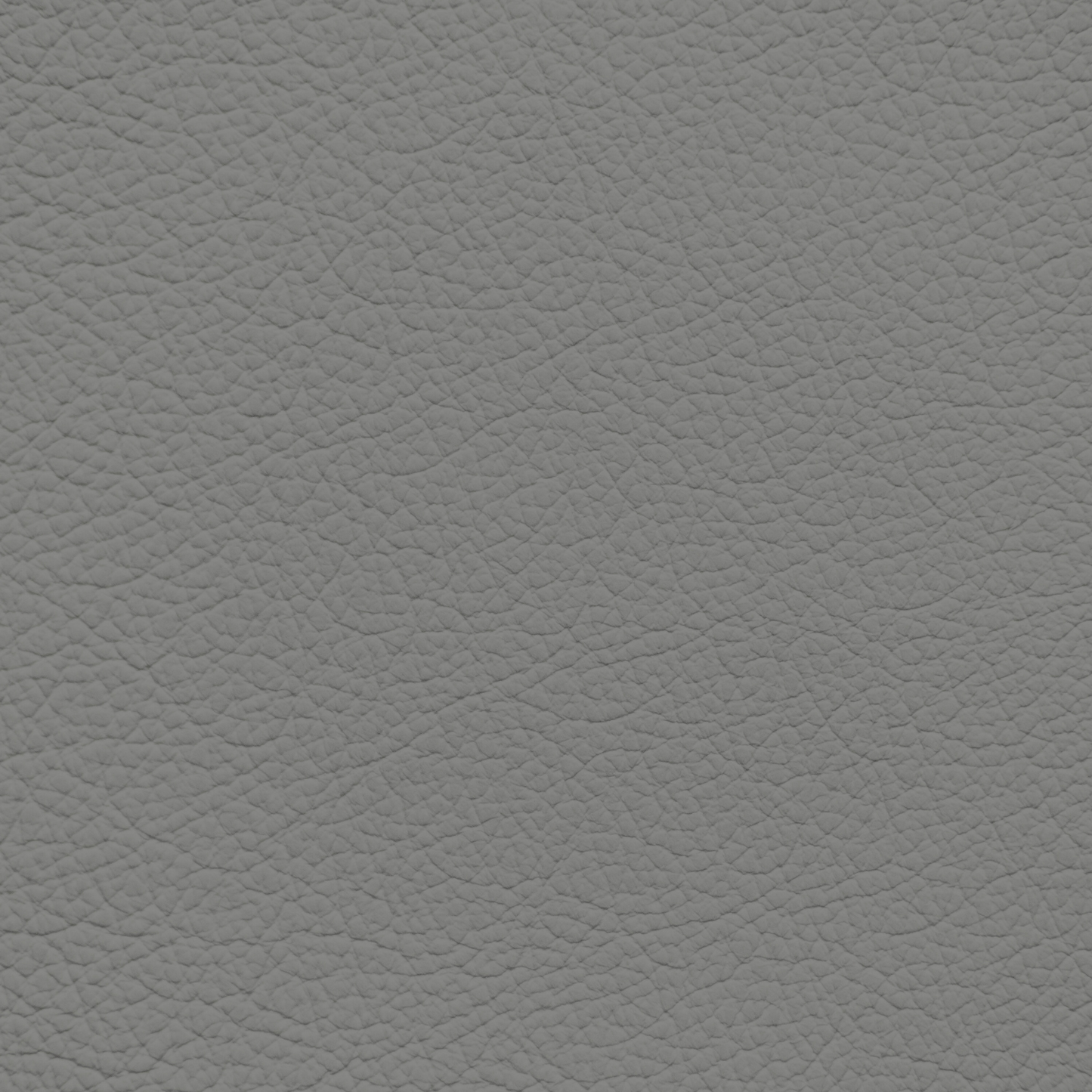 Jaguar Nimbus Grey Leather Dye