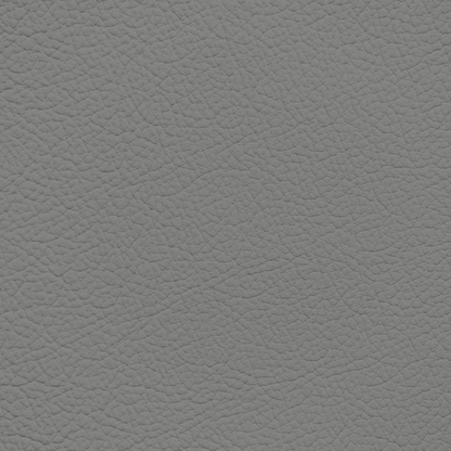 Jaguar Nimbus Grey Leather Dye