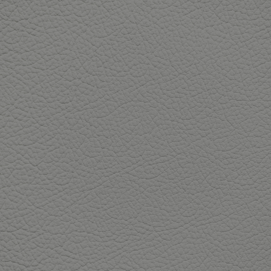 Jaguar Nimbus Grey Leather Dye