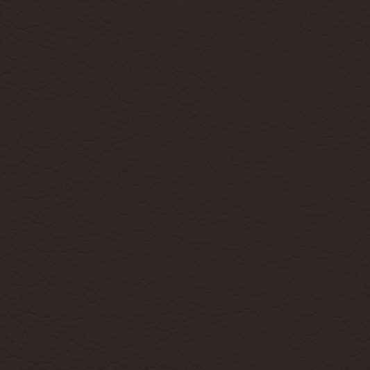 Lexus Noble Brown Leather Dye