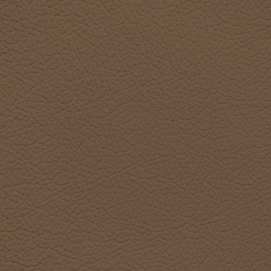 Mercedes Nut Brown Leather Dye