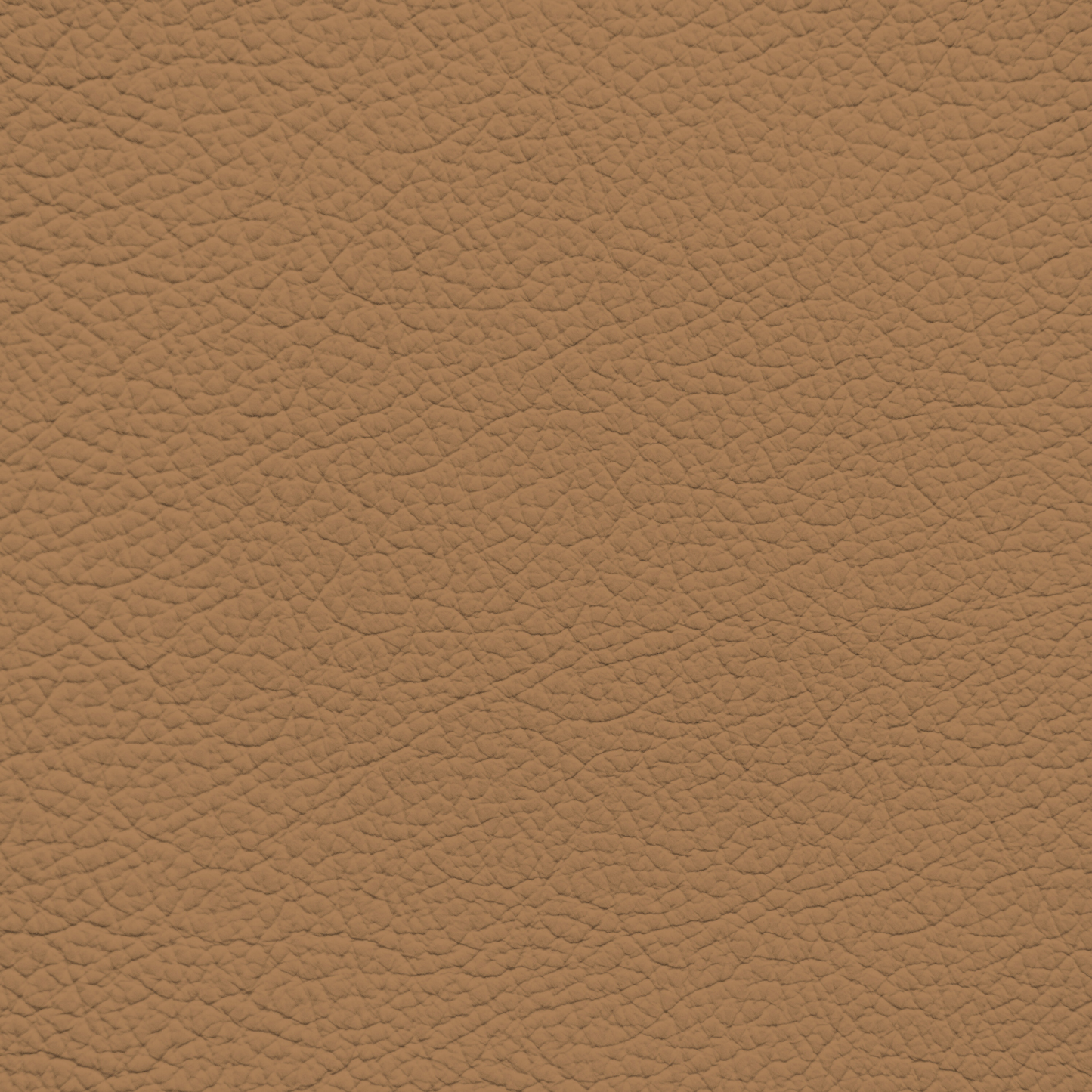 Audi Nutmeg Leather Dye