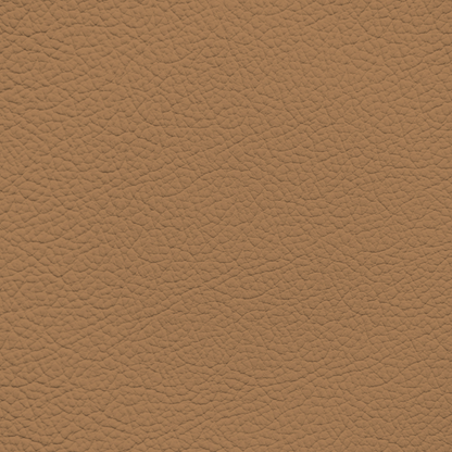 Audi Nutmeg Leather Dye
