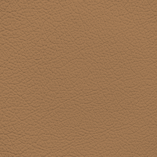 Audi Nutmeg Leather Dye