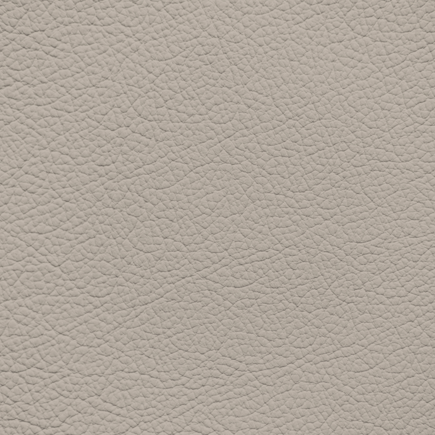 Ford/Lincoln/Mercury Oasis Leather Dye