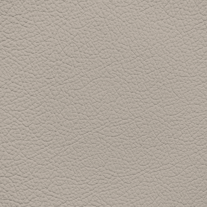 Ford/Lincoln/Mercury Oasis Leather Dye