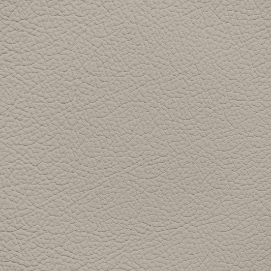Ford/Lincoln/Mercury Oasis Leather Dye