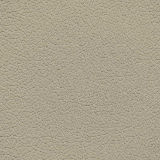 Jaguar Oatmeal Leather Dye