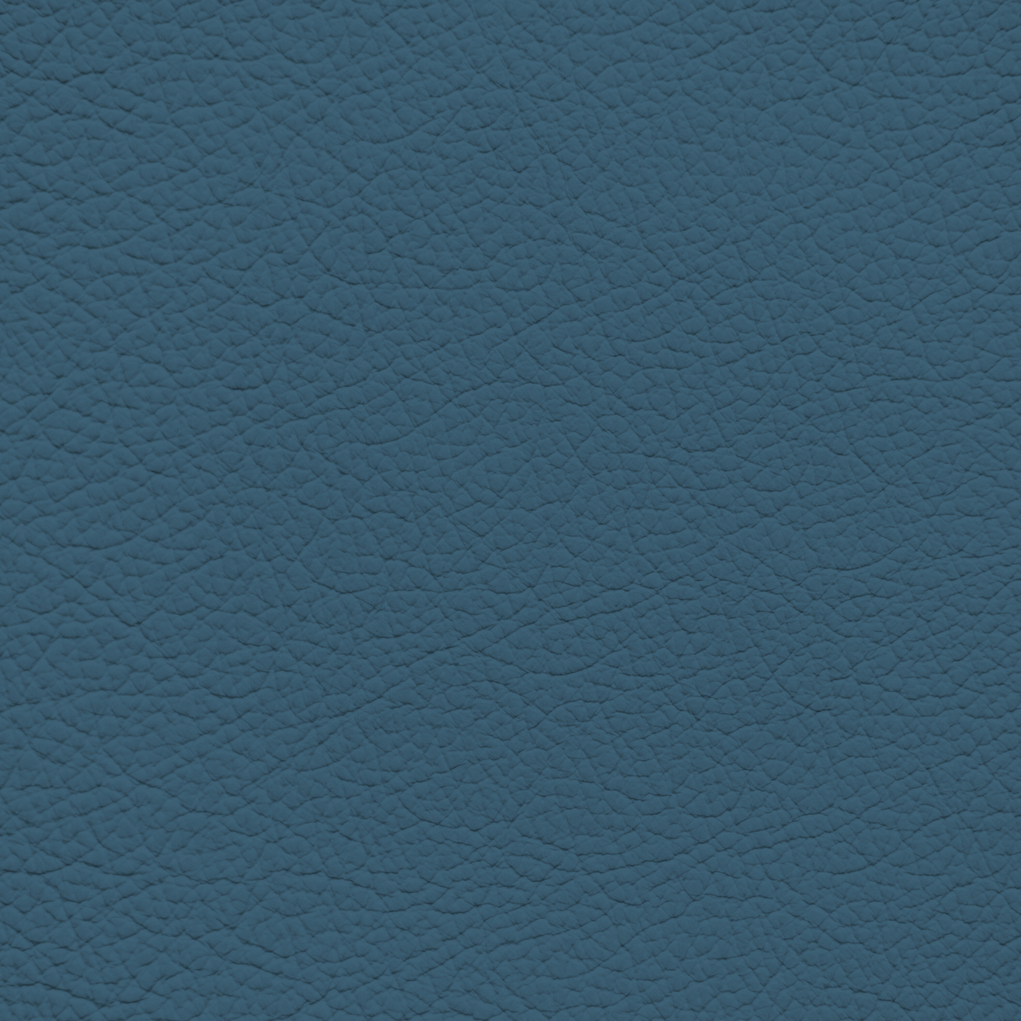 BMW Ocean Blue Leather Dye