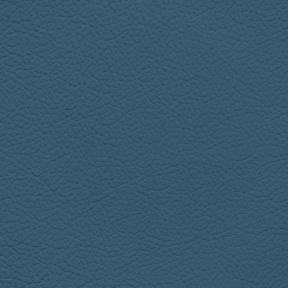 BMW Ocean Blue Leather Dye
