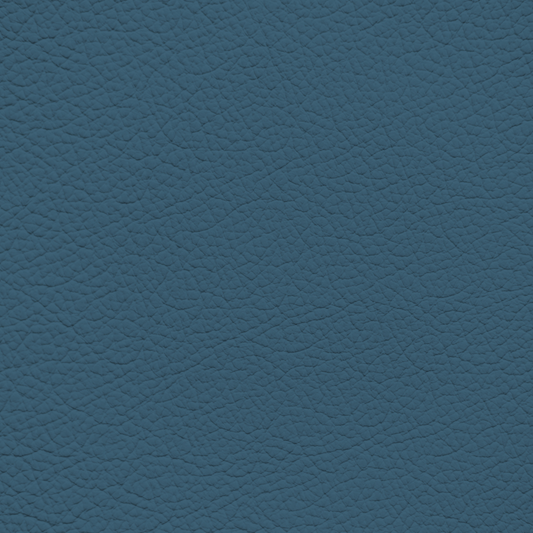 BMW Ocean Blue Leather Dye