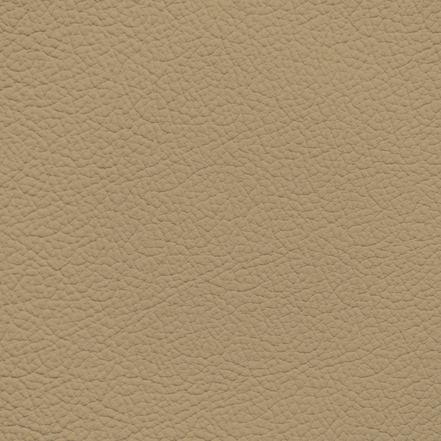 Honda Odyssey Ivory (2009-2010) Leather Dye