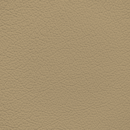 Honda Odyssey Ivory (2009-2010) Leather Dye