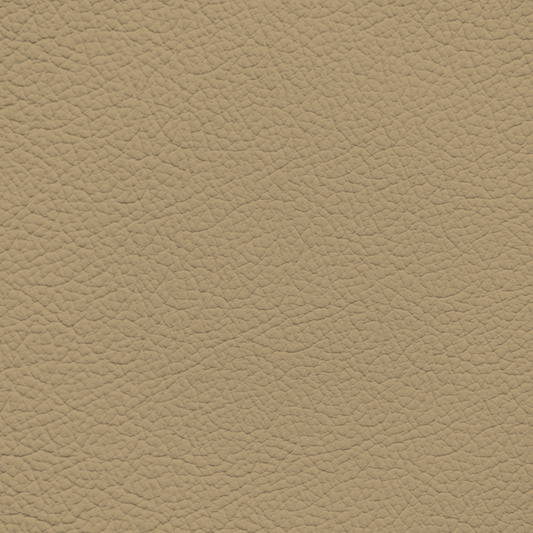 Honda Odyssey Ivory (2009-2010) Leather Dye