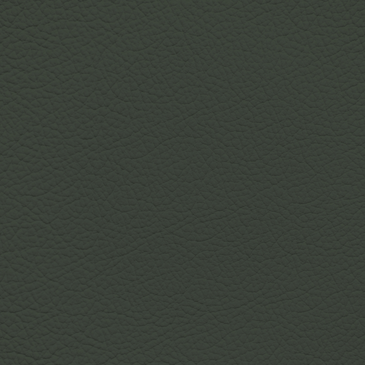Mercedes Olive Leather Dye
