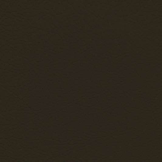 Hyundai Olive Brown Leather Dye