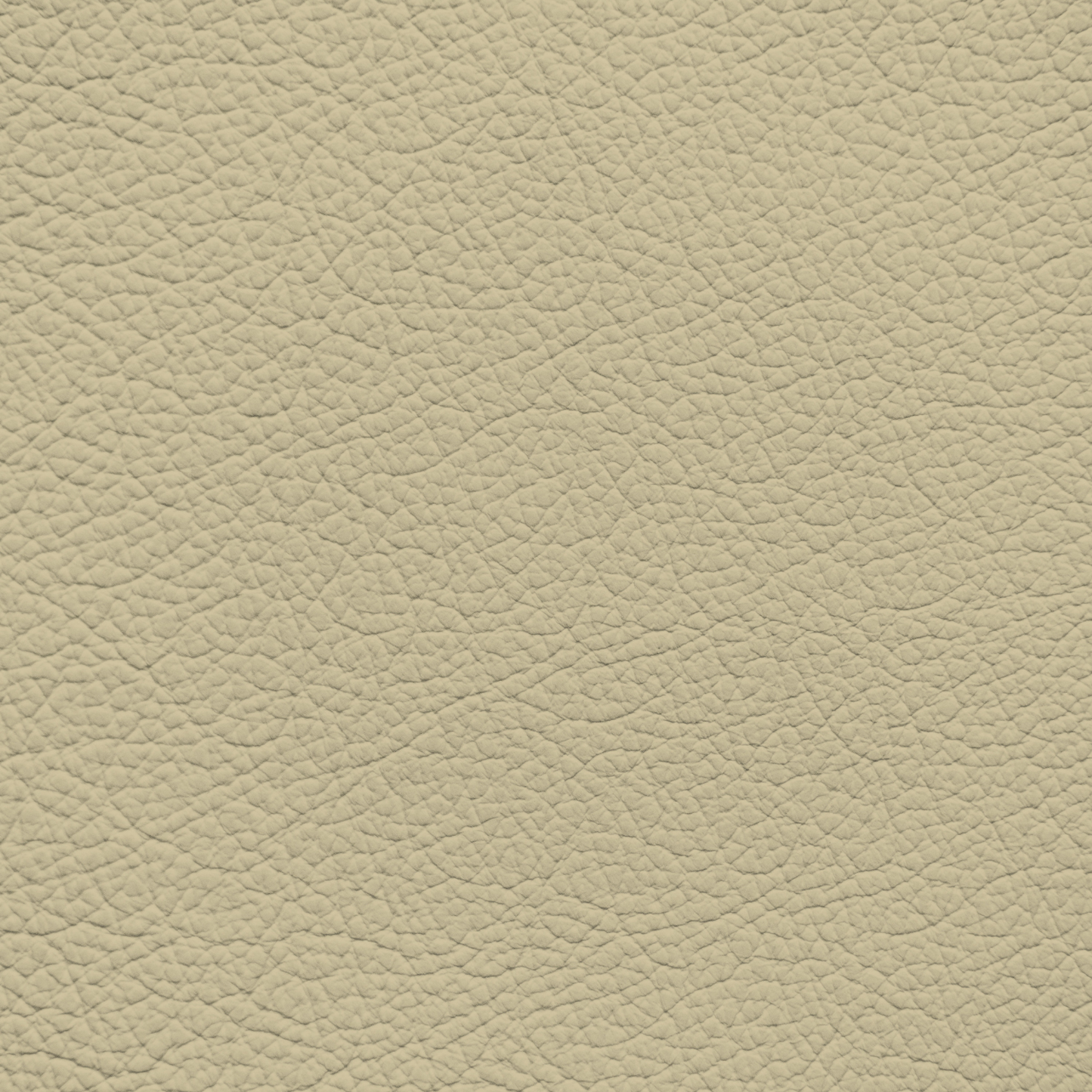 BMW Oregon Beige Leather Dye