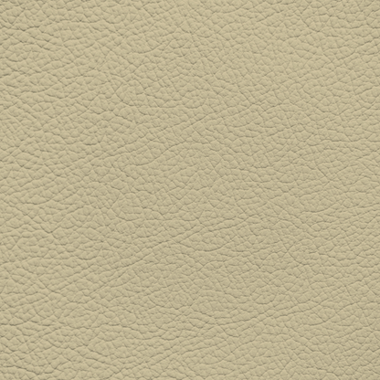 BMW Oregon Beige Leather Dye