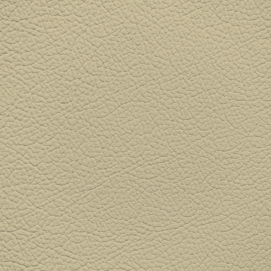 BMW Oregon Beige Leather Dye