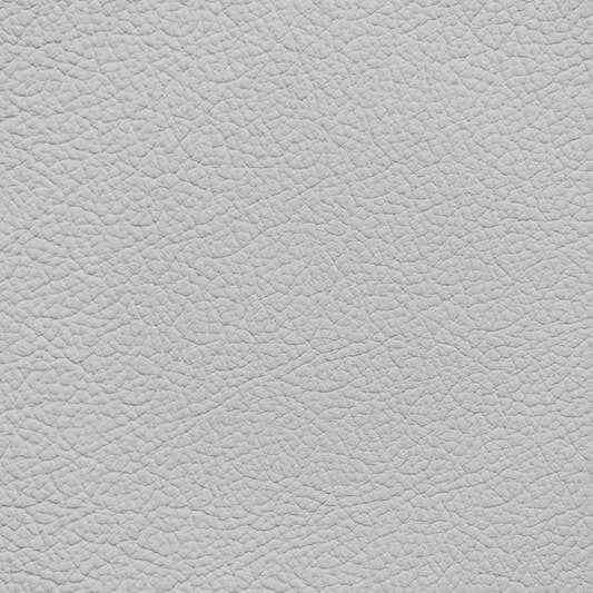 Mercedes Orion Gray Light Leather Dye