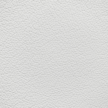 Ford/Lincoln/Mercury Oxford White Leather Dye