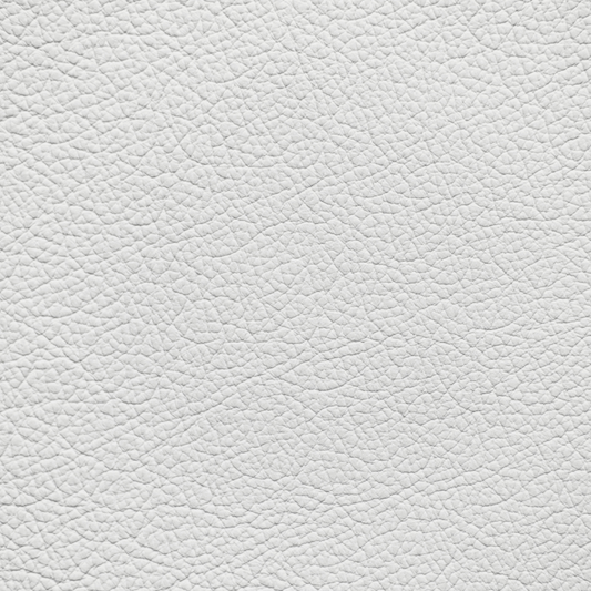 Ford/Lincoln/Mercury Oxford White Leather Dye