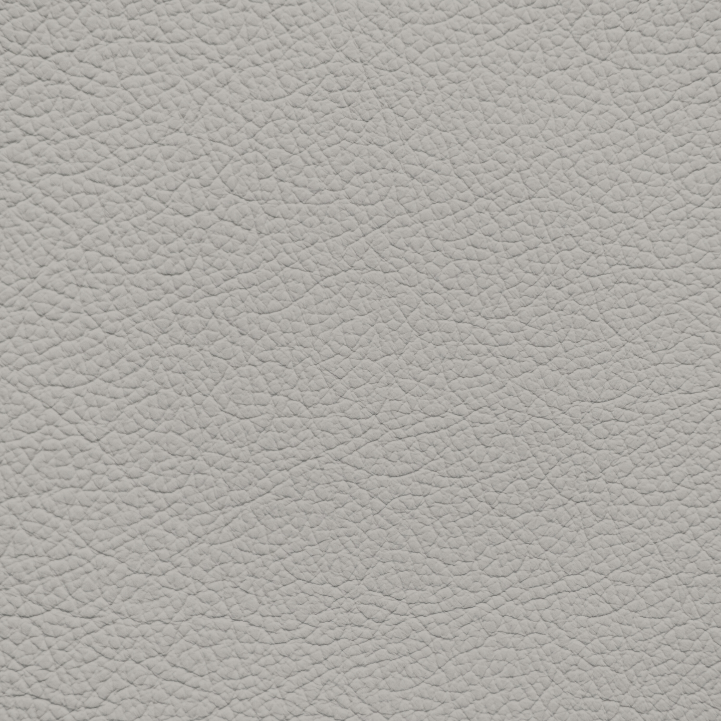 Mercedes Oyster Leather Dye