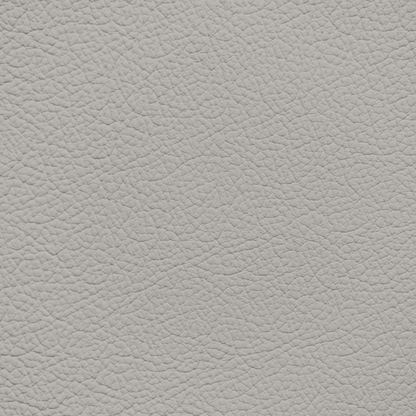 Mercedes Oyster Leather Dye