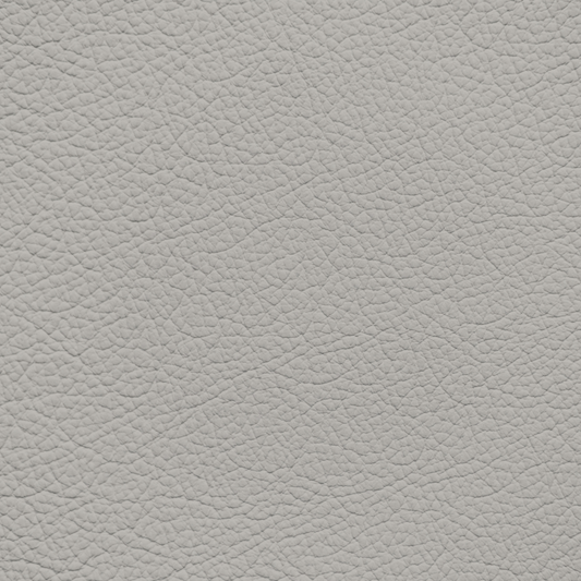 Mercedes Oyster Leather Dye