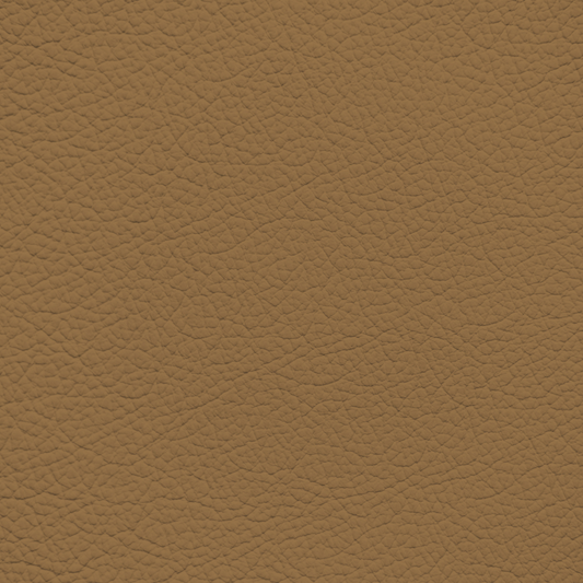 Mercedes Palomino Leather Dye