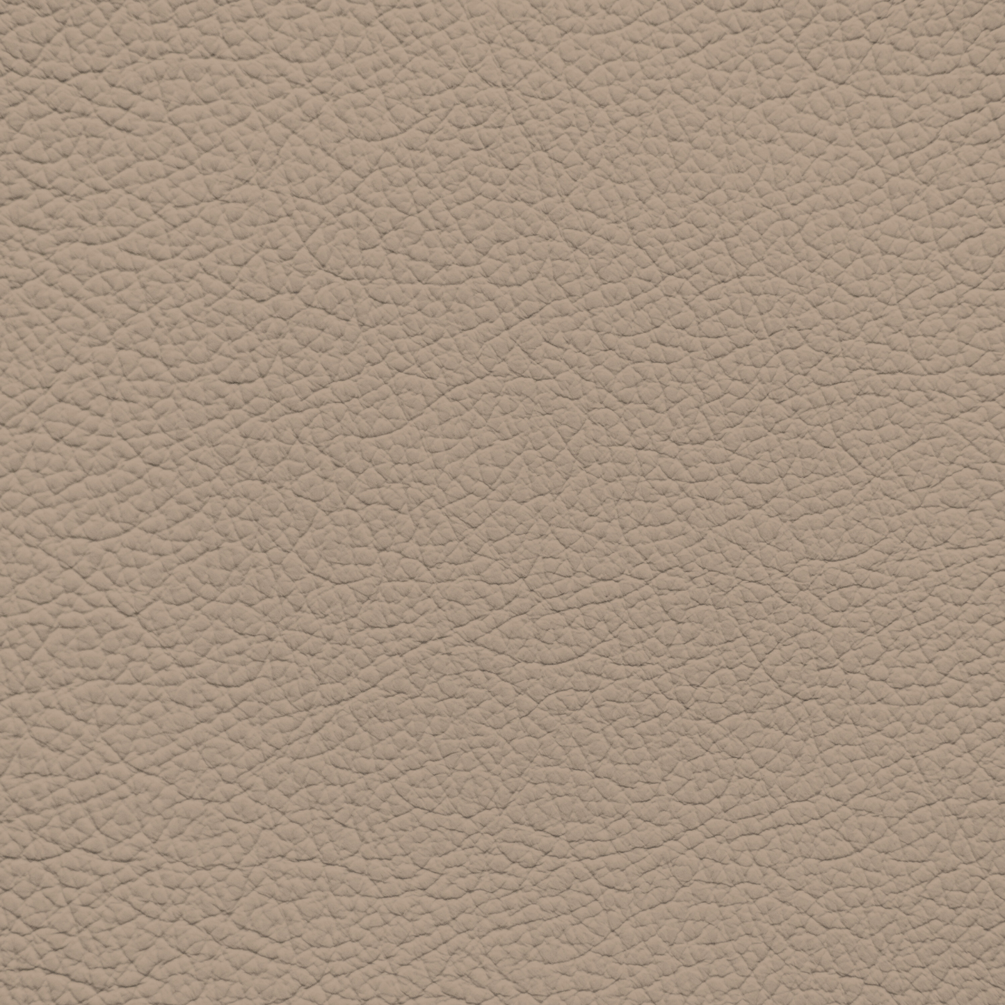 Ford/Lincoln/Mercury Pale Adobe Leather Dye