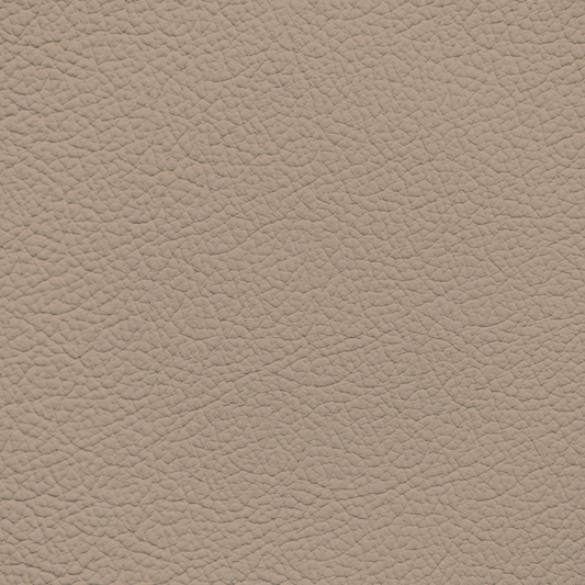 Ford/Lincoln/Mercury Pale Adobe Leather Dye