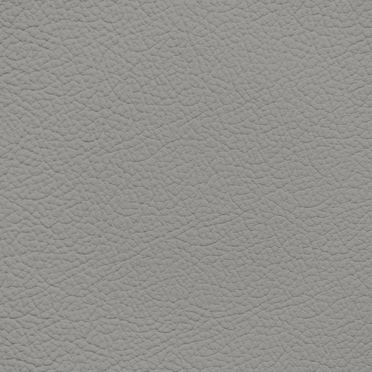 Mercedes Palm Gray Leather Dye