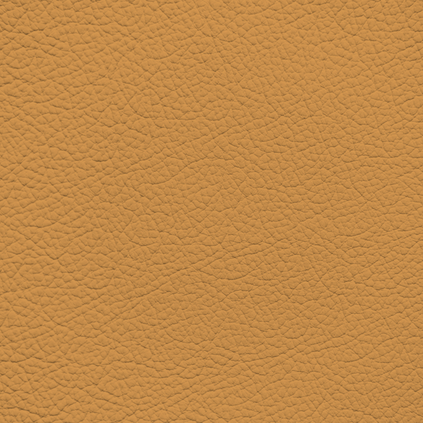 Lexus Palomino Leather Dye