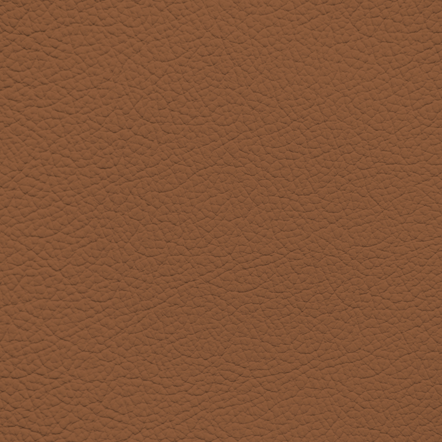 Audi Palomino Brown Leather Dye