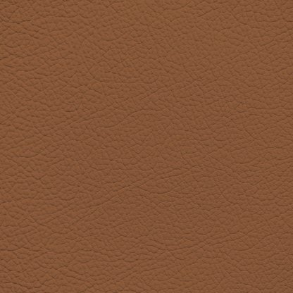 Audi Palomino Brown Leather Dye