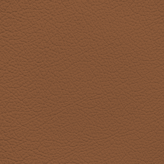 Audi Palomino Brown Leather Dye