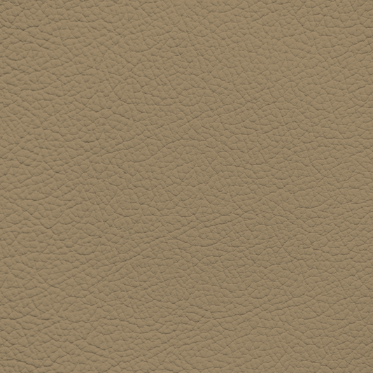 Nissan Pancake Leather Dye
