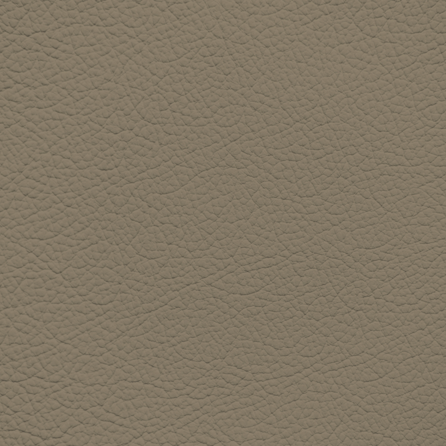 Mercedes Parchment Leather Dye