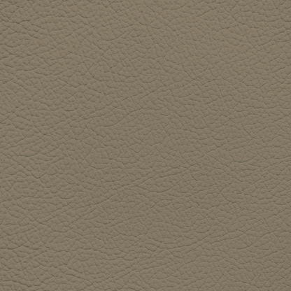 Mercedes Parchment Leather Dye