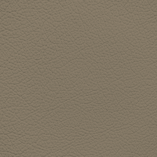Mercedes Parchment Leather Dye