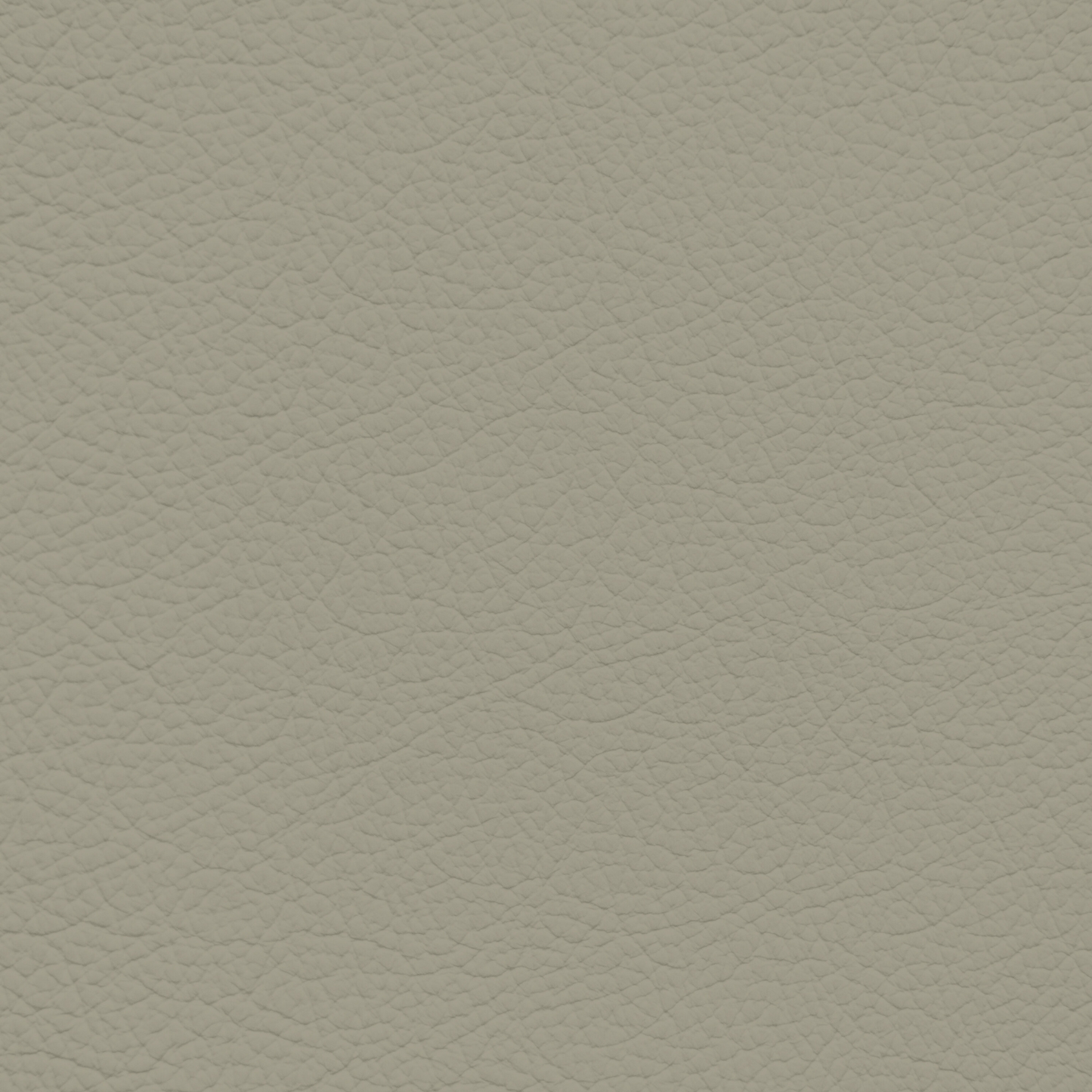 Saab Parchment Leather Dye