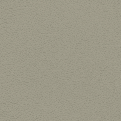 Saab Parchment Leather Dye