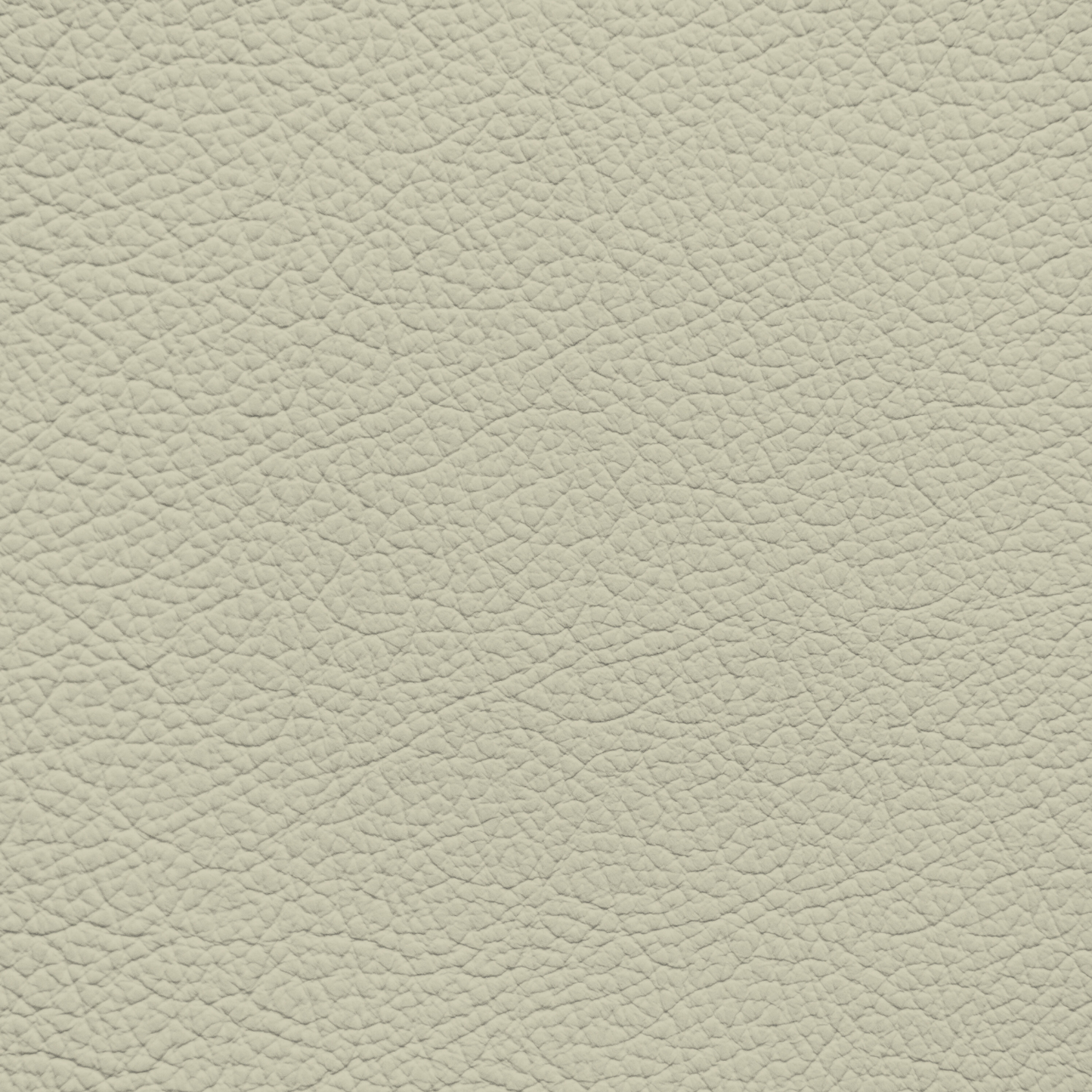 Mercedes Parchment Leather Dye