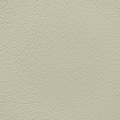 Mercedes Parchment Leather Dye